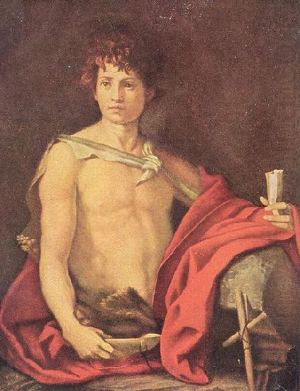 Andrea del Sarto Der jugendliche Johannes oil painting picture